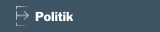 Politik